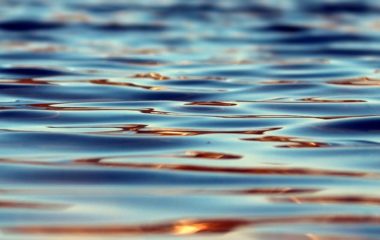 water-referendum-signatures-law-reri