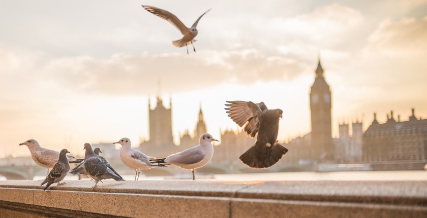 London determined air healthy 2030 focus children