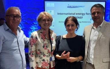 nadezda kokotovic energy democracy interenef
