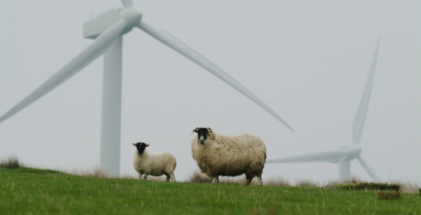 Croatia to take loan to pay incentives for renewable energy producers