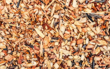 Two biomass heating plants to be operational in Serbia as of October 1
