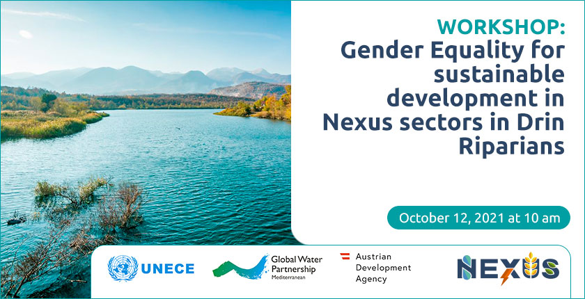 Gender equality workshop NEXUS Drin river basin