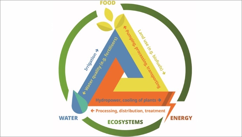 Women empowerment sustainable development Drin