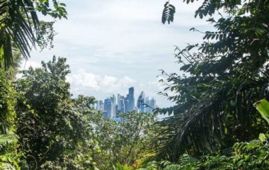 Amazon deforestation rate in Brazil highest since 2006