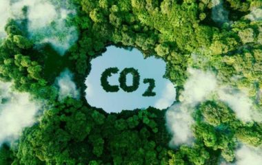 Resalta accredited for carbon emission reduction services