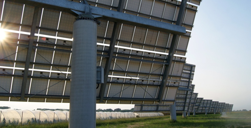 croatia auctions premiums