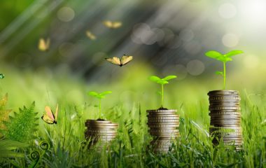 Green bonds’ webinars organized by Energy Community - registration open