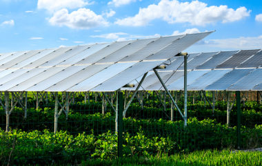 Agro-solar-innovation-projects