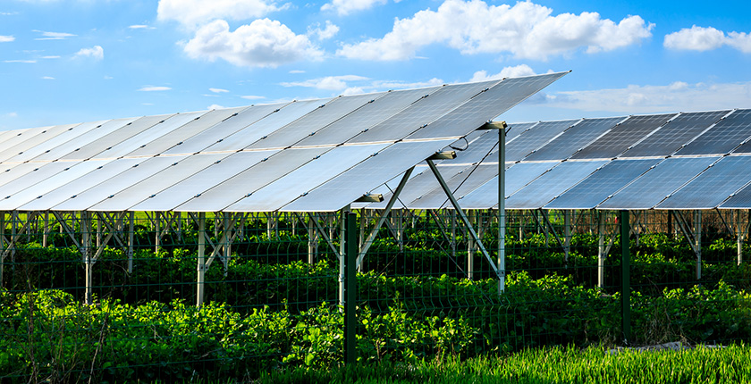 Agro-solar-innovation-projects