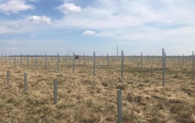 Ratesti-Romania-INTEC-CHINT-solar