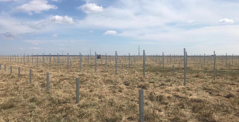 Ratesti-Romania-INTEC-CHINT-solar