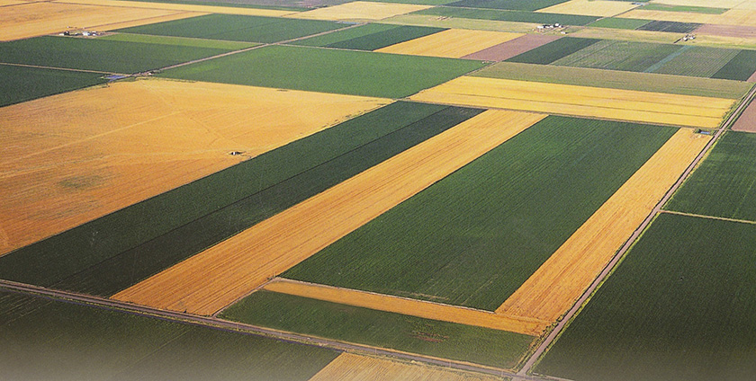 Serbia-national-consultation-Stokholm+50