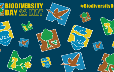 Biodiversity Day: Building a shared future for all life