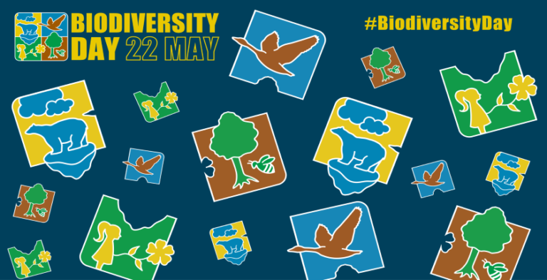 Biodiversity Day: Building a shared future for all life
