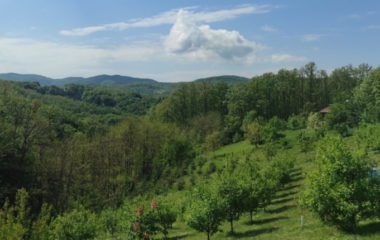 Bern Convention Rio Tinto Jadar project earh thrive complaint