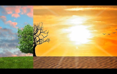 Court of Auditors report climate action eu budget