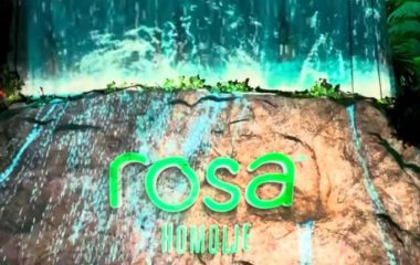 Environmentalists denounce Coca-Cola's Rosa Water promo event: you can not party in protected natural environment