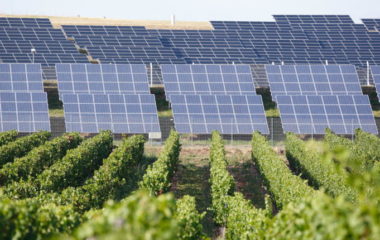 Green for Growth Fund record expansion 2021