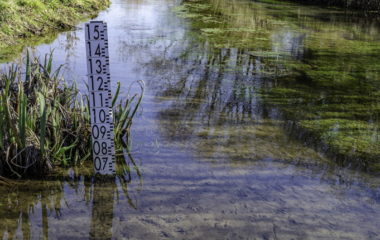 Power utility EPHZHB requests ban on electricity export from BiH