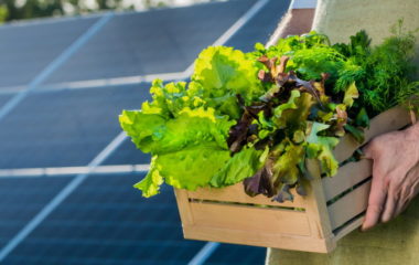 Turkey eases rules for installing solar panels for irrigation