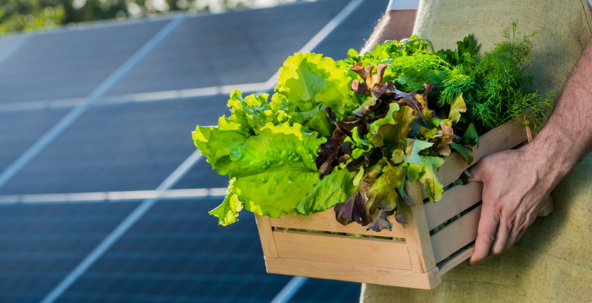 Turkey eases rules for installing solar panels for irrigation