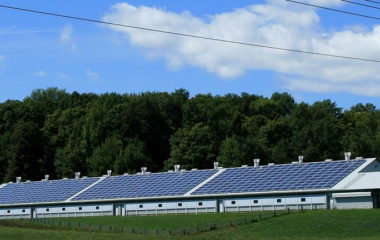 Elektroprivreda HZHB launches call for purchase of electricity from renewables