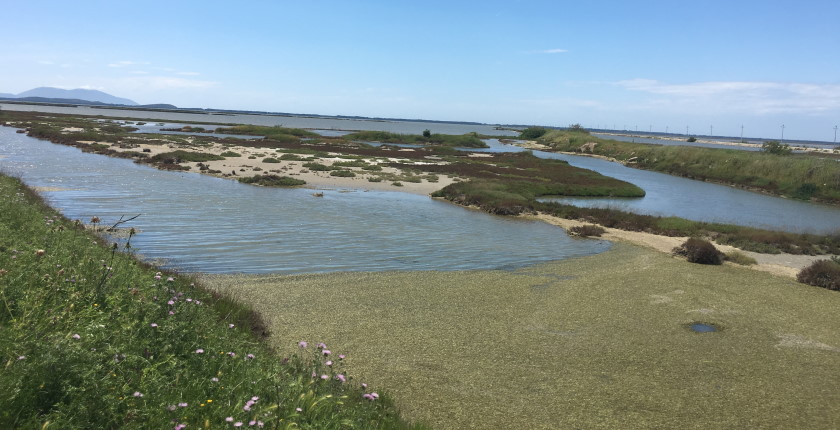 blessed water tough choices environment development