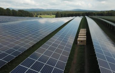Second agrisolar park in Serbia to bi installed in Sremska Mitrovica