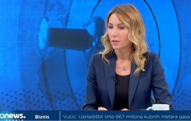 dubravka djedovic minister reforms lithium electricity prices