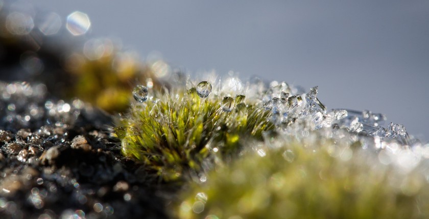 euki call climate action