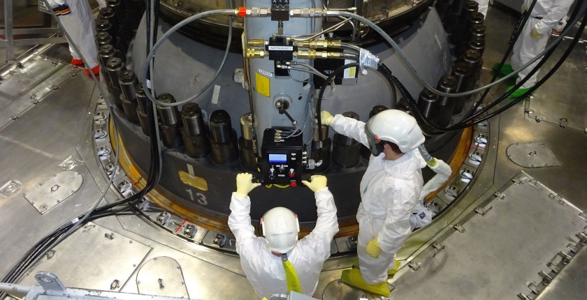 golob nuclear power plant krsko nek referendum