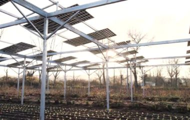 Enerjisa first agrivoltaic pilot project Turkey