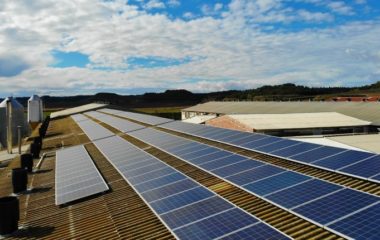 HEP plans to start purchasing electricity from private producers public call