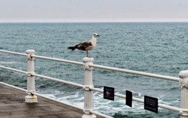 black sea offshore wind romania bulgaria energy island