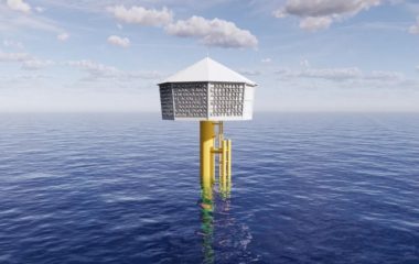 Bird nesting structures needed to continue with largest offshore wind farm project Hornsea 3
