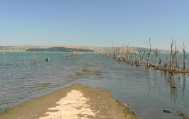 Profine Energy floating solar power Bulgaria