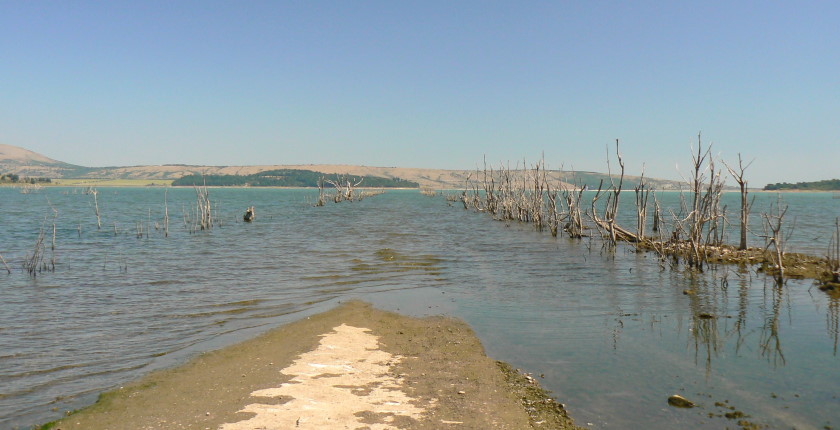 Profine Energy floating solar power Bulgaria