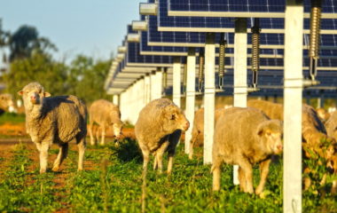 neoen agrisolar croatia