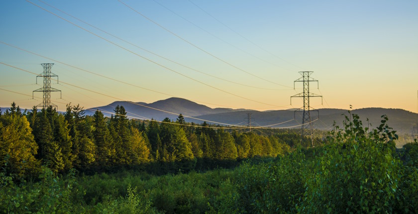 EU electricity market design reform temperate positive step