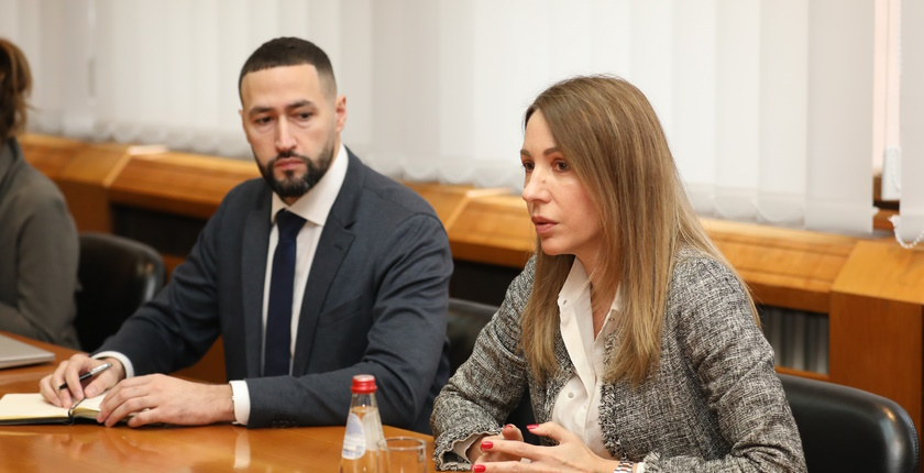 Serbian minister electricity sector investment Saudi fund