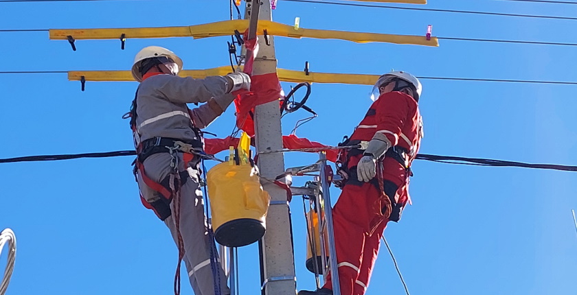 delgaz grid investments grids prosumers