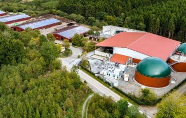 Biogas power plant in Croatia goes bust due to price controls