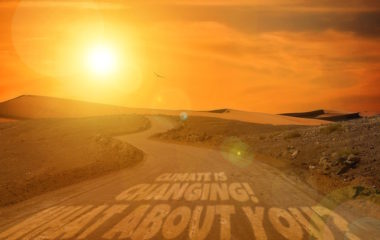 WMO Global temperatures poised to set new record in next five years