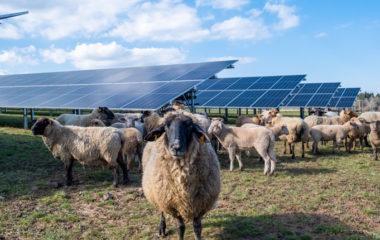 Global Market Outlook for solar power 2023-2027