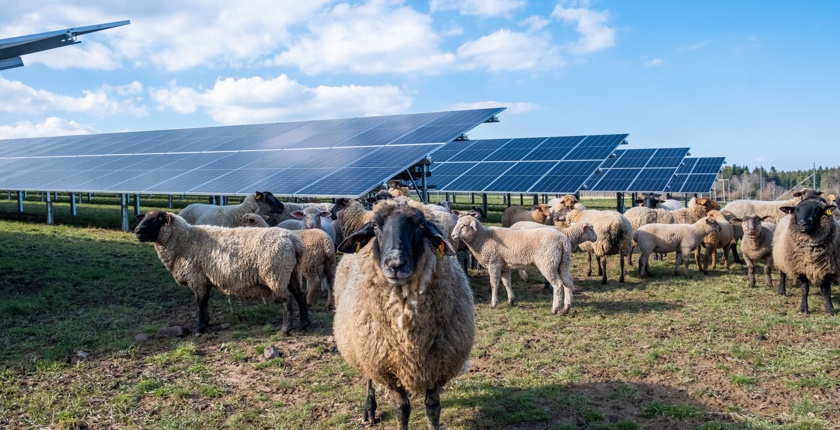 Global Market Outlook for solar power 2023-2027