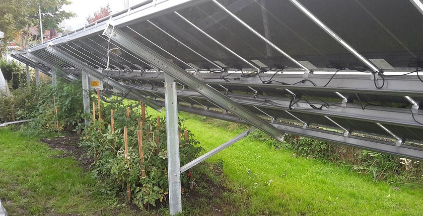 Albania to draft law on land classification for agrisolar plants