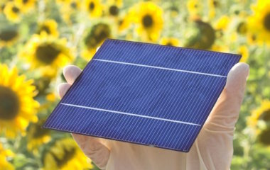 Europe has 51 terawatts of agrivoltaics potential, new research shows