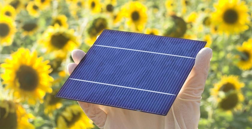 Europe has 51 terawatts of agrivoltaics potential, new research shows