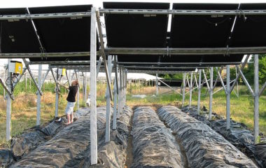 Two giant solar power projects Bulgaria highlight land use disputes