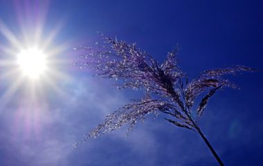 world-record-temperature